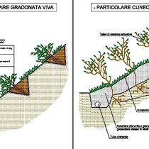 Completamento consolidamento costone roccioso in Motta Sant'Anastasia - Particolare interventi di stabilizzazione superficiale