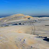 Dune du Pilat couvert de givre