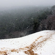 Snowfall on the dune in February 2018