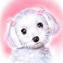 HOME * - i-nakajima ページ！水彩画 パステル画 イラストレーター