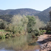 Heerlijk om langs de rivier te wandelen. Wat een rust!