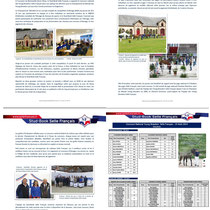 Championnat de France Young Breeders 2014 au Pôle hippique de Saint-Lô. Selle-français, communiqué - 14 Août 2014