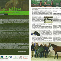 Victoire de Crème des Ruettes au régional d'automne des 3 ans à Saint-Lô. Lettre Cheval Normandie décembre 2015