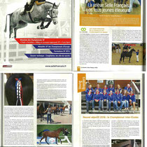 Championnat du monde Young breeders 2015 à Gloucester, Angleterre. Selle-Français magazine - 4e Trimestre 2015