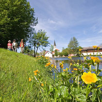 Wandern rund um den Kurpark in Schönse