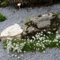 Botanischer Garten Bielefeld