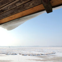 Der Winter hat die Landschaft fest im eisigen Griff. Ein sibirischer Hauch hat das Moor in ein Winterwunderland verwandelt mit vereisten Wasserflächen und verschneiten Streuwiesen. Die Wintersonne lässt die Eiskristalle blitzen.