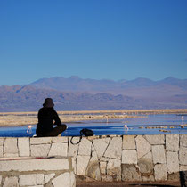 Laguna Chaxa [Atacama desert/CHILE]