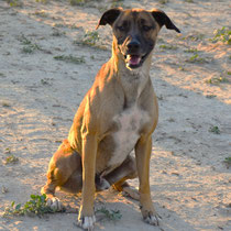 Tyson