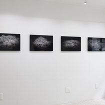 Toshiharu Sasaki Photo Exhibition [Kaden] 