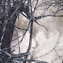 Gorges du Fourperet 2012 huile sur papier 75 x 110