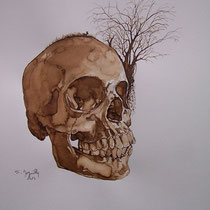 Encre, brou de noix et graphite sur papier canson 42 X 29,7 cm