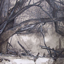 Gorges du Fourperet 2012 huile sur papier 75 x 110