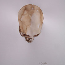 Encre, brou de noix et graphite sur papier canson 42 X 29,7 cm