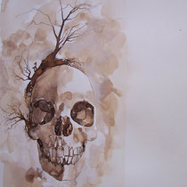 Encre, brou de noix et graphite sur papier canson 42 X 29,7 cm