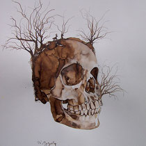 Encre, brou de noix et graphite sur papier canson 42 X 29,7 cm