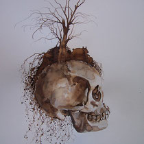 Encre, brou de noix et graphite sur papier canson 42 X 29,7 cm