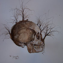 Encre, brou de noix et graphite sur papier canson 42 X 29,7 cm