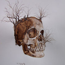 Brou de noix sur papier - 2013