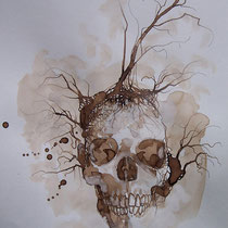 Encre, brou de noix et graphite sur papier canson 42 X 29,7 cm