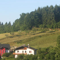 Berta-Ruhe  -  WaldFranz  (Forest.Frank@gmx.at)