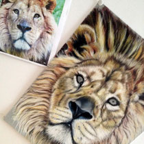 Pastel sur papier pastel velours 24x32 (suite)