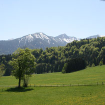 Der Gruberhof Fischbachau - Ferienwohnung Breitenstein