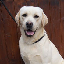 Sam