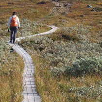 Bild: Wanderweg auf den Dundret