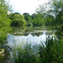 Blick auf den See der Wandse