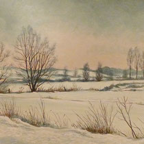 "Schwäbische Winterlandschaft"