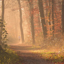 Laufen im Wald
