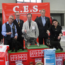 BIS CACHORROS