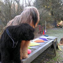 Aurélie, Matilda und Carlotta (hinten)