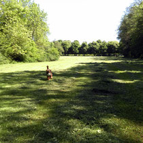 Ballspiel am Schloss Solitude