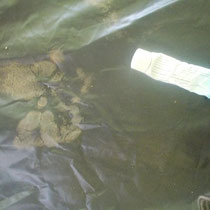 Pavianfußabdrücke im leeren Zelt
