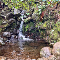 Levada Wanderung