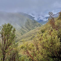 Levada Wanderung