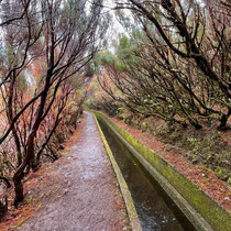 Levada Wanderung