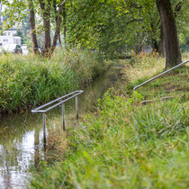 Wassertreten in 82223 Eichenau - nördlichen Ende der Roggensteiner Allee  (Foto: ©LRA FFB_Oliver Pauli)
