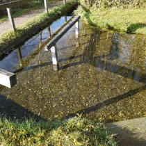 Wassertretanlage  in 82418 Seehausen am Staffelsee - unterhalb Parkplatz Gasthaus Stern - (Foto: Martina Stuprich)