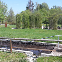 Schlammtreten im Kurpark Bad Wörishofen (Foto. S.Seidl)