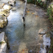 Wassertretbecke in 82467 Garmisch-Partenkirchen - im Michael Ende Kurpark