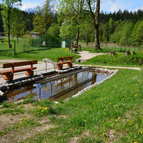 Wassertretanlage in 83483 Bischofswiesen - Aschauerweiherstraße 56 (Foto: Tourist-Information Bischofswiesen -Michael Obraczka)