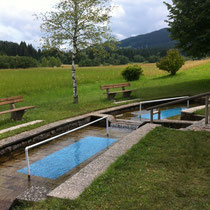 Kneippanlage in 87642 Trauchgau - Wanderweg zur Almstube  (Ostallgäu) (Foto: Touristinfo Halblech