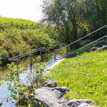 Wassertreten in 82110 Germering - im Holzbach, hinter dem Seeauslauf des Germeringer Sees (Foto: ©LRA FFB_Oliver Pauli)