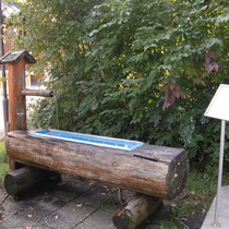 Armbad in 87629 Hopfen - nähe Campingplatz (Ostallgäu)