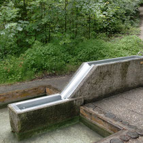 Armbecken Park Fessler-Weiher 83209 Prien am Chiemsee (Flyer)