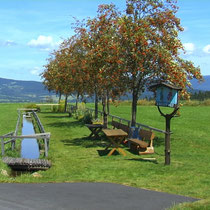 Kneippanlage in 94145 Haidmühle- Bischofsreut-Langenreut  (Bild: Touristinfo Haidmühle)