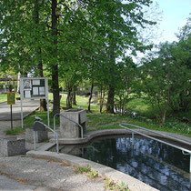 Wassertretbecken in 83229 Aschau im Kurpark (Foto: Touristinfo Aschau)